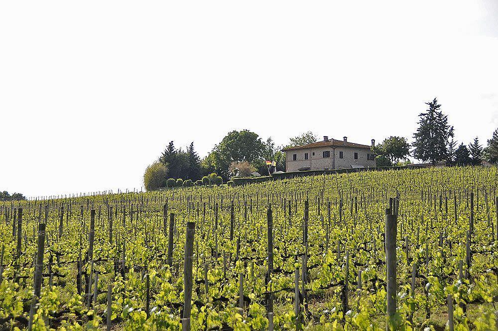 Il Colombaio, Siena -Appartamenti E Camere- Isola d'Arbia Buitenkant foto
