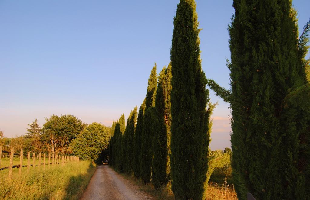 Il Colombaio, Siena -Appartamenti E Camere- Isola d'Arbia Buitenkant foto