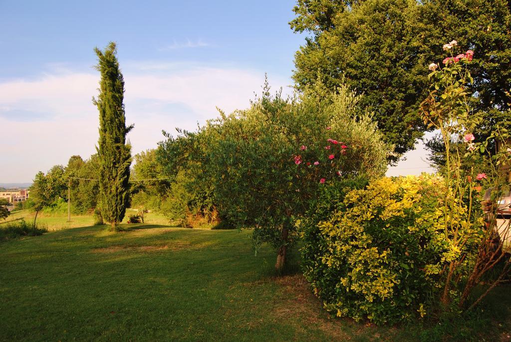Il Colombaio, Siena -Appartamenti E Camere- Isola d'Arbia Buitenkant foto