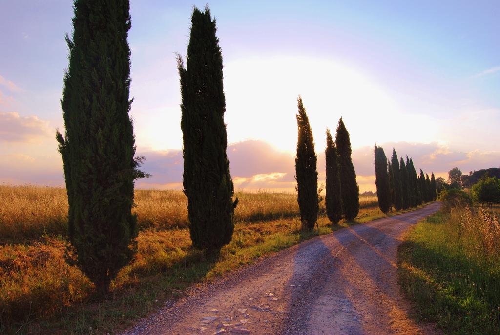 Il Colombaio, Siena -Appartamenti E Camere- Isola d'Arbia Buitenkant foto